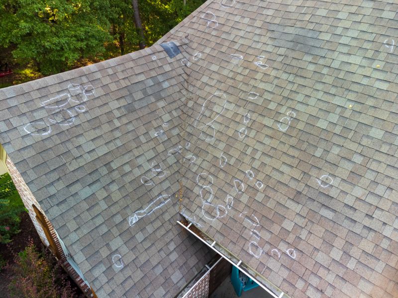 Tile Roof Inspection
